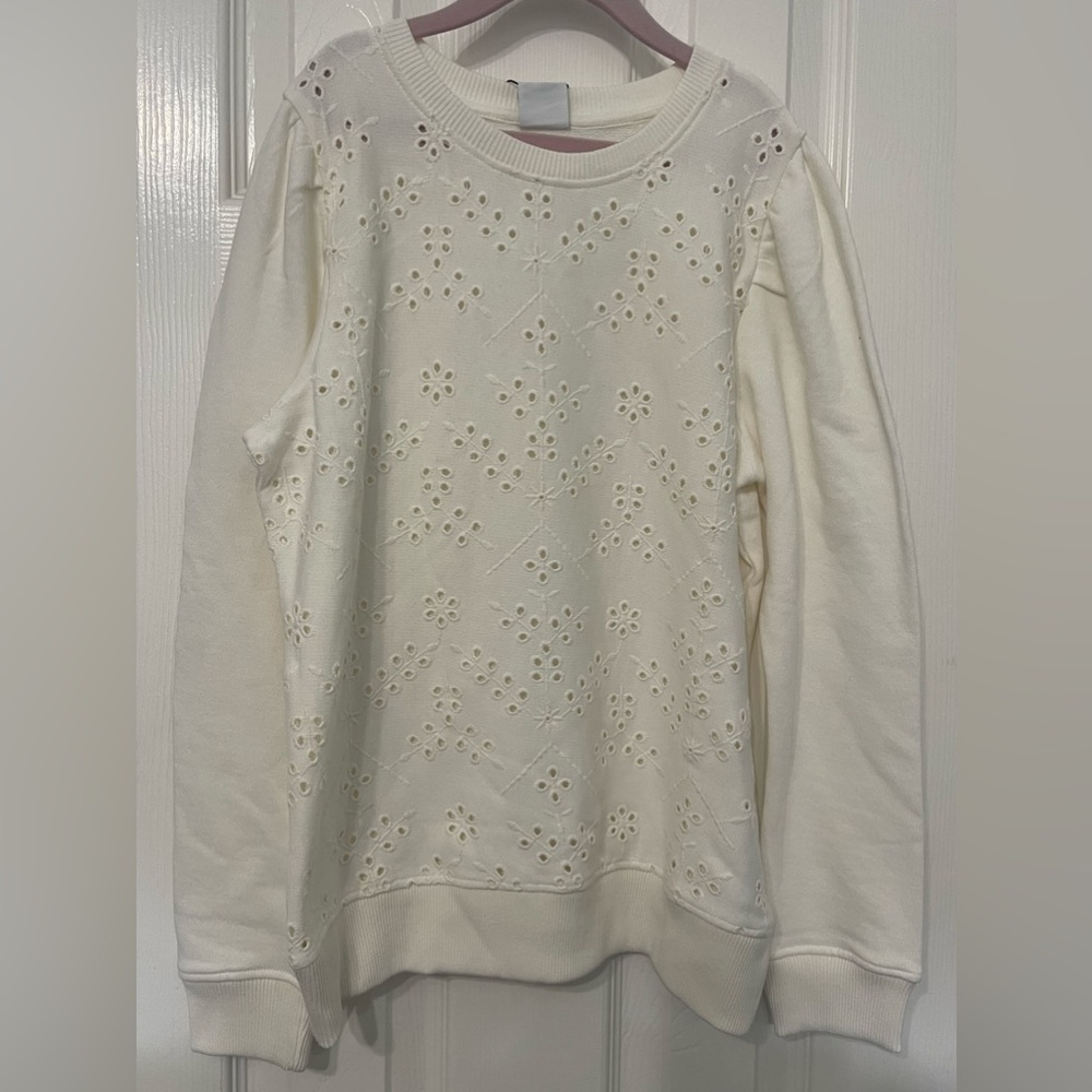 Zara long sleeve sweatshirt with embroidered embellishments